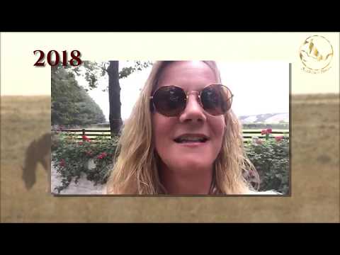 Anna Twinney Media Reel - A Look Back at the Journey of a Horse Whisperer