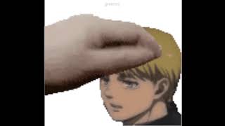 PET THE ARMIN