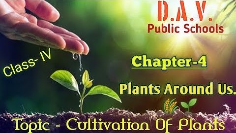 🌾Cultivation Of Plants 🌾 (Chap.-4 ) D.A.V. 🏫(Science) Class - 4