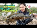 กระสงป่า ไซด์นี้หายากกก FISHINGEZ วันที่ 18-10-66