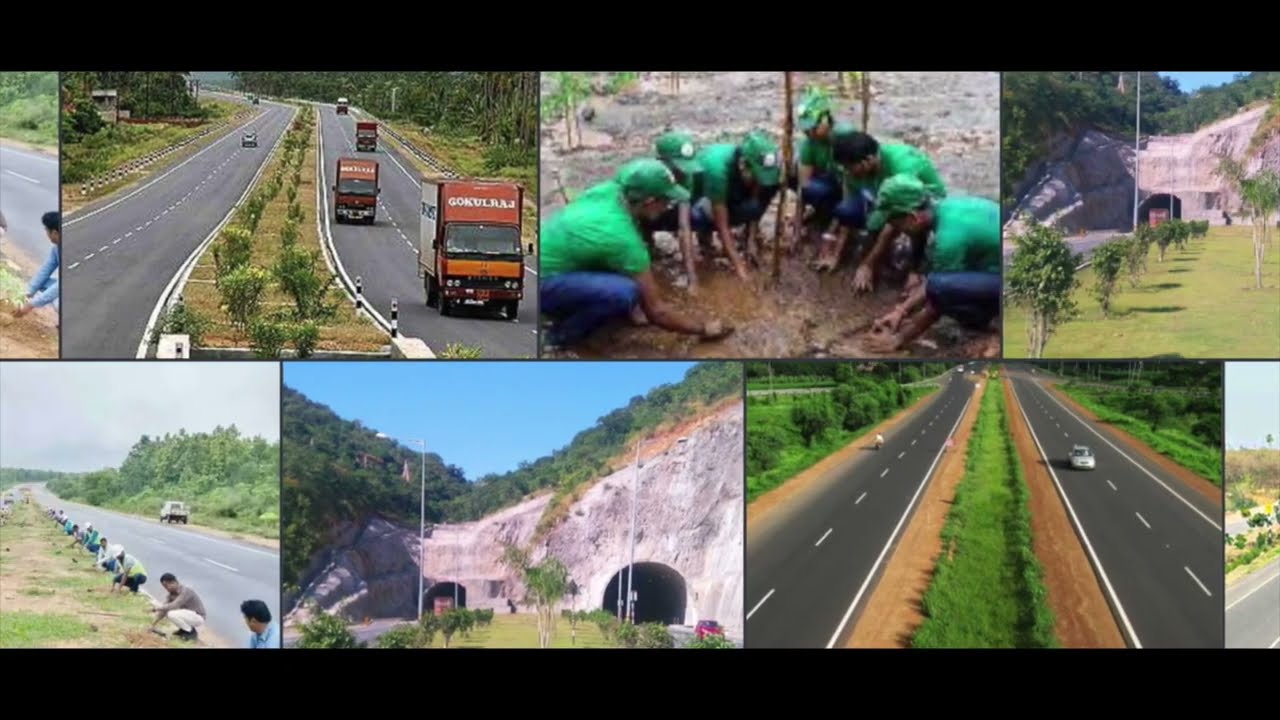 NHAI MoRTH  TREE Plantation