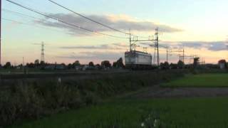 EF65-1127　5593レ　ワシクリ