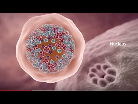 Video: Qué Hacer Si Contrae Un Virus