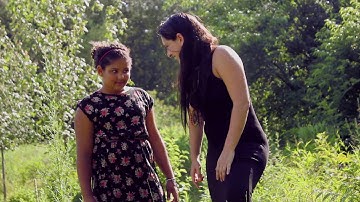 OASYS Y EVALUZION: YOU