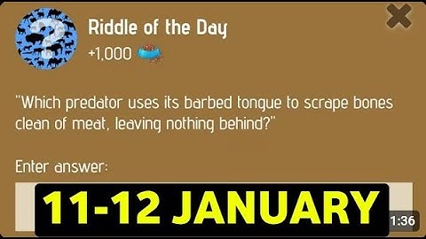 Riddle Of The Day Zoo 11-12 January | Zoo Riddle Of The Day Code | Riddle Of The Day Zoo