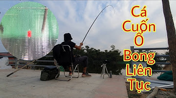 Câu Lục| Chót Dại Làm Nháy Trước Khi Đi Câu Và Cái Kết