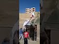 تمزيق صورة السيسي فى بنى مزار المنيا 25 سبتمبر