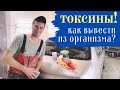 Фармэль отзывы. Выведение токсинов.