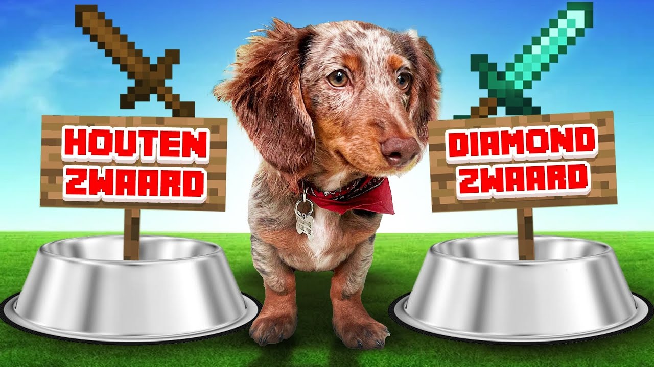 PUPPY OLLIE BEPAALT MIJN MINECRAFT POTJE!