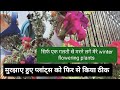 🔴मुरझाए हुए प्लांट्स को किया फिर से हरा भरा || Plants care tips #gardening #viralvideo #winterflower