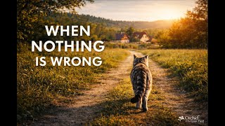What If Nothing About You Needs Fixing Right Now? | Slow Living
