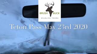 Teton Pass May 23rd 2020