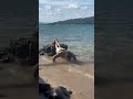 Beach workout for a sleepy morning #pushups #fitnessmotivation