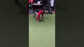 Inside Lunge to Hamstring Stretch