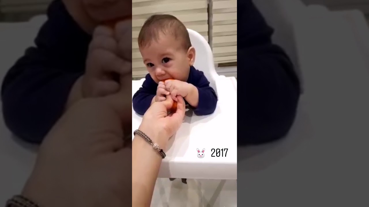 Tavşan Alphan bebek YouTube