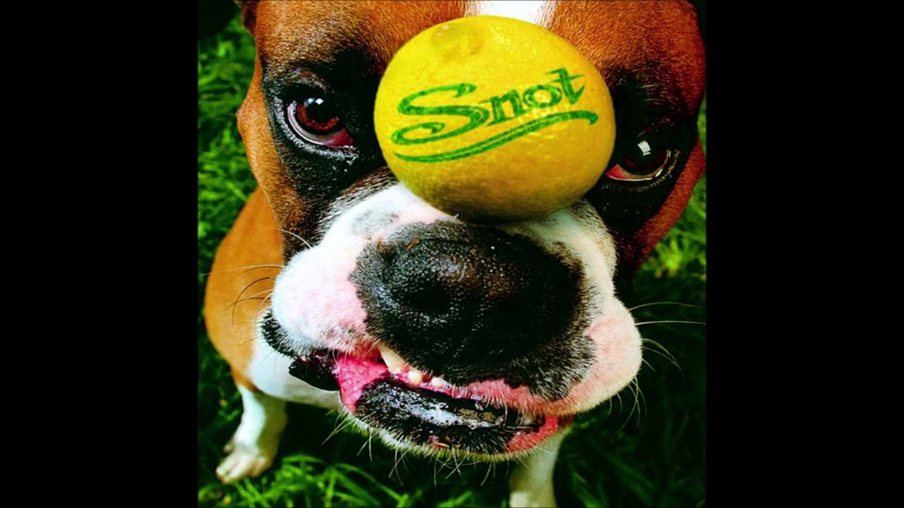 Snot - Get Some O' Deez (1997 CD Audio)