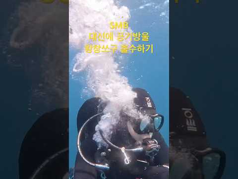 공기방울로  수면으로 올라가는 신호 보내기 ㅋㅋ#다이빙 #더잘난 #scubadiving #번개맨 #딥다이빙 #출수 #공기방울#씨앤소울 #<strong>diving</strong>