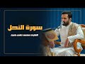 القارئ محمد تقي ضياء سورة النحل المباركة المحفل القرآني الرمضاني 1445هـ