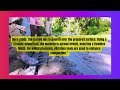 What is Screeding?