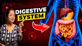 Human Digestive System | ONE SHOT 🔥| Class 9 &amp; 10 | #boardexam #boardexampreparation #boardexam2027