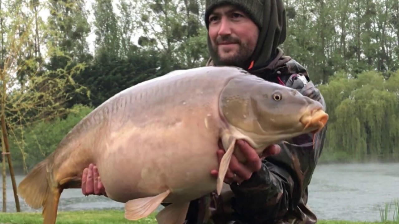 Deux Iles 2018,  Carp Fishing France