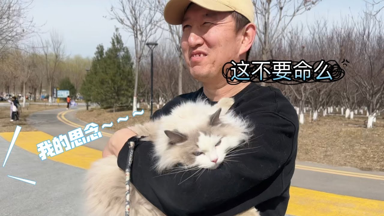 带猫咪和孩子们出去春游偶遇中老年歌友会，猫都听不下去了