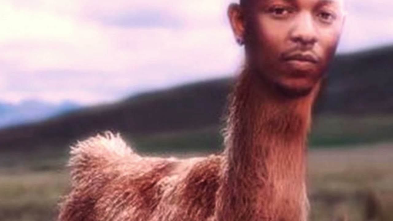 kendrick llama - YouTube