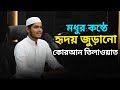 মধুর কন্ঠে হৃদয় জুড়ানো কোরআন তিলাওয়াত | Quran Tilawat | Hafiz saiful Islam.