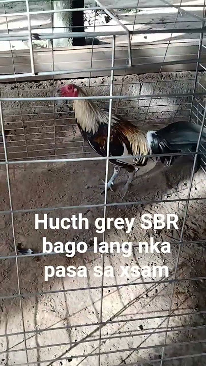 #hashtags hucth grey SBR materials line bago lang kapasa sa xsam guys Hindi pa malakas komilos