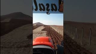 Gerçek Çiftciler Beğendi Bile