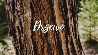 Video thumbnail of "Piotr i Kasia – Drzewo"