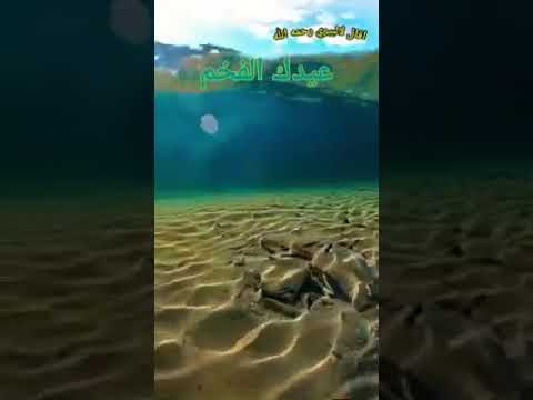 قصيده قصيره زهدية عيدك الفخم الألبيري أداء ابي همام فهد ابن محمد مثنى