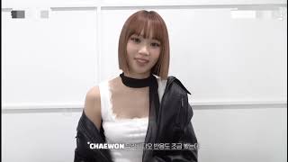 [르세라핌 채원] 쫀득 보이스 채원