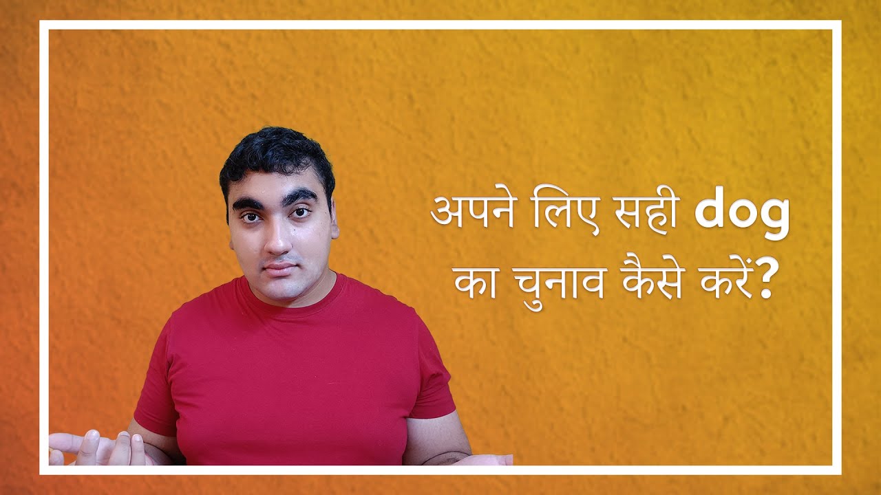 How to choose the right dog breed ?? YouTube