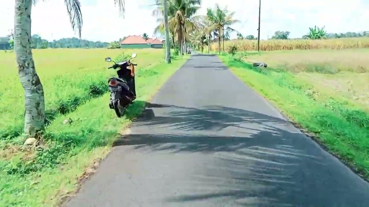 RUNTUHNYA NYALIAN DAN TAMAN BALI BERKUASANYA KERAJAAN BANGLI ? (@IDA BAGUS WIJAYA KUSUMAH)