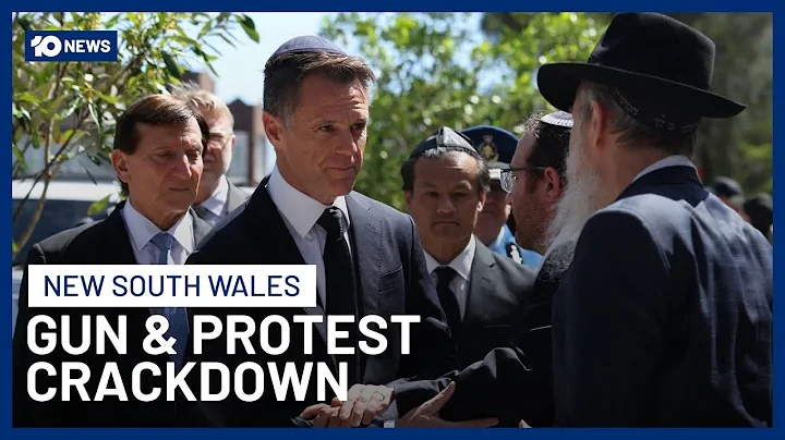 NSW Pushes Ahead With Toughest-in-Country Gun & Protest Reforms Amid Legal Challenges | 10 News