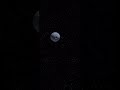 Death Star meets its fate #humor #jokes #laugh #shorts #short #shortvideo