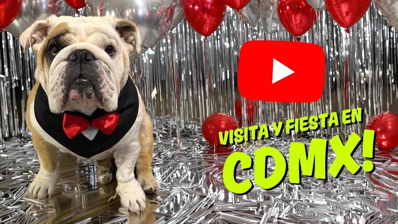 VIAJAMOS a la CDMX con Peligro y conocimos lugares Petfriendly increíbles 🎉