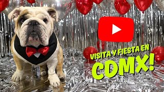 We traveled to Mexico City with Peligro and discovered amazing pet-friendly places 🎉