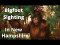 Bigfoot sighting in NH 8/17/21. You decide?