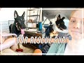 BRINGING HOME OUR RESCUE DOG | meet our new german shepherd + our humane society adoption