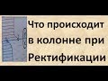 Что происходит в колонне при ректификации|Изобретатель|Ректификация