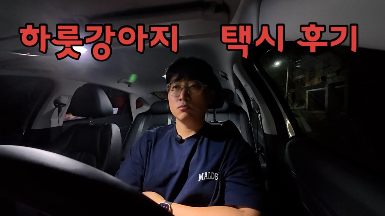 우당탕탕으로 시작해서 1주일을 버틴 하룻강아지 초보 택시기사의 명절 연휴 영업 스타트!!