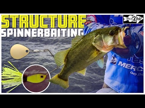 How and Why to Fish a Heavy Spinnerbait Shallow - Wired2Fish