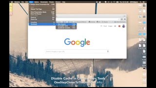 disable cache in chrome dev tools