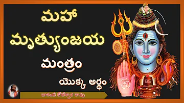 మహామృత్యుంజయ మంత్రం యొక్క అర్థం|Maha Mrityunjaya Mantra in Telugu Meaning|ChagantiLatestPravachanam