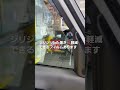 #紫外線 #uv #暑さ対策