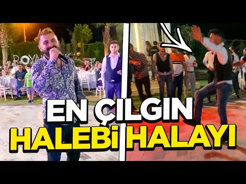 ÇILGIN HALEBİ HALAYI | SÜPER HALAY | AHMET MAZI