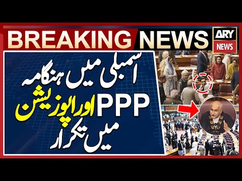 CHAOS in Parliament