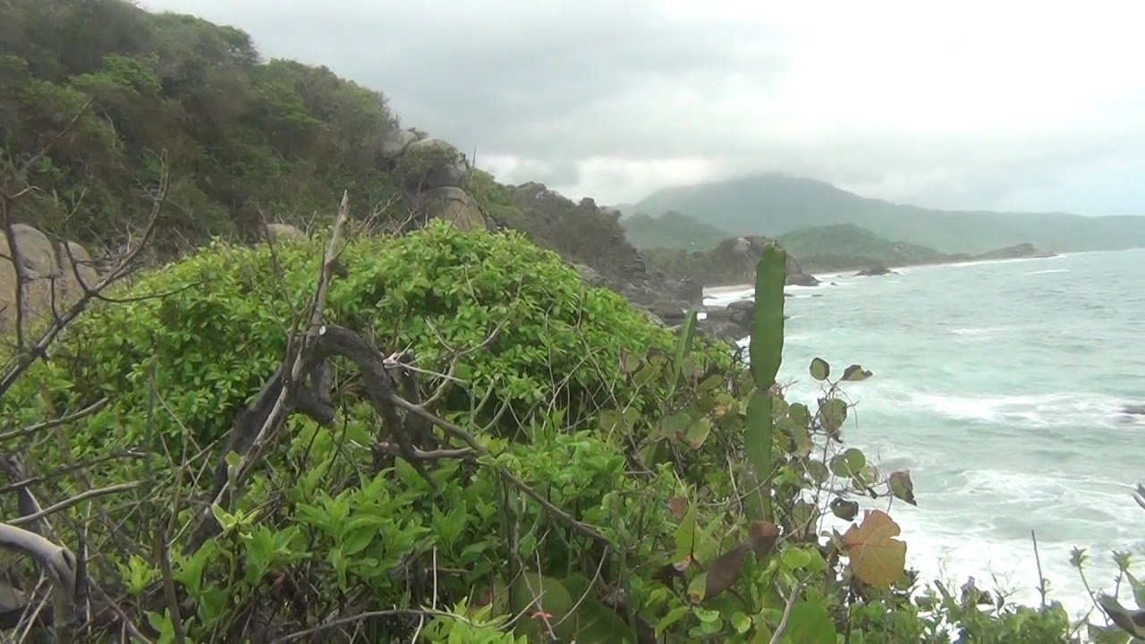 Santa Marta, Tayrona Park - Playa Castilletes 17